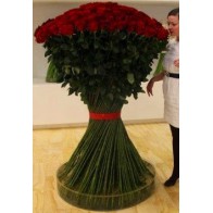 Роза Эксклюзив 25 шт. (1,5 метра)