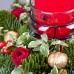 Веночек рождественский «Огонек»