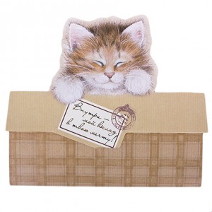 Котенок (для денег)