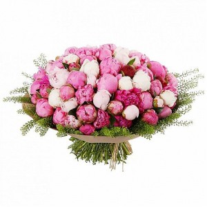 Букет из 51 пиона с зеленью