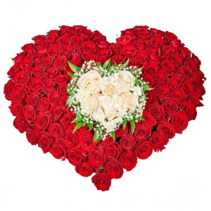 Сердце из 151 розы